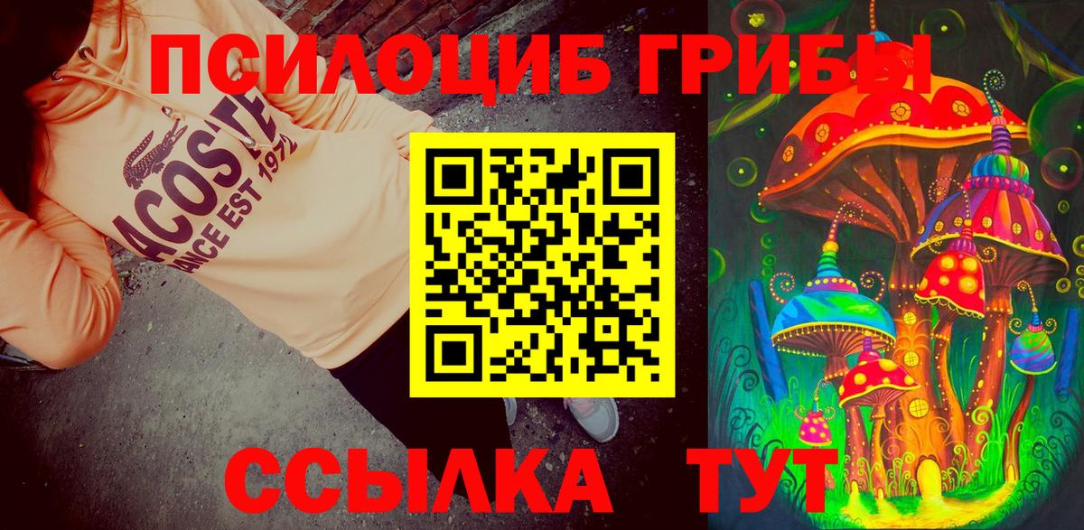 Сегежа  Псилоцибиновые грибы MAGIC MUSHROOMS  Вход с VPN  Псилоцибиновые грибы Cubensis 